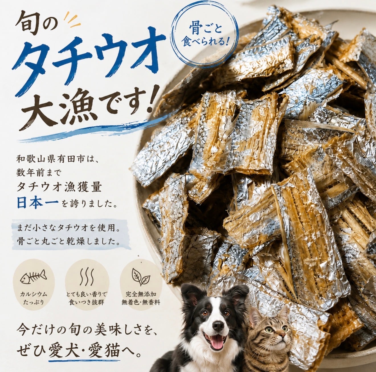 期間限定 浜のたっちょ 太刀魚ジャーキー