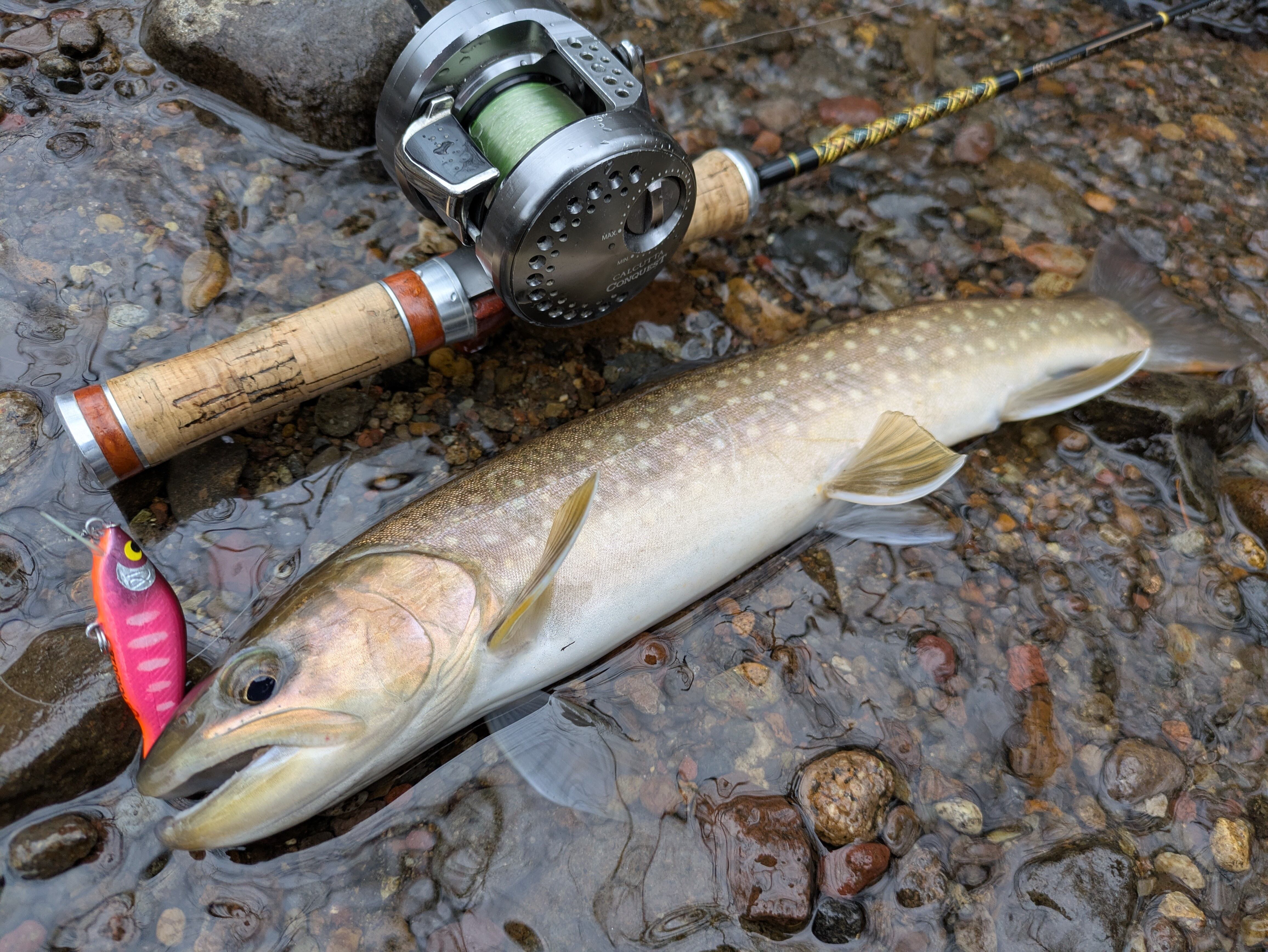 ストイックスタイル グルーヴィー 50 | GO-SLOW.fishing