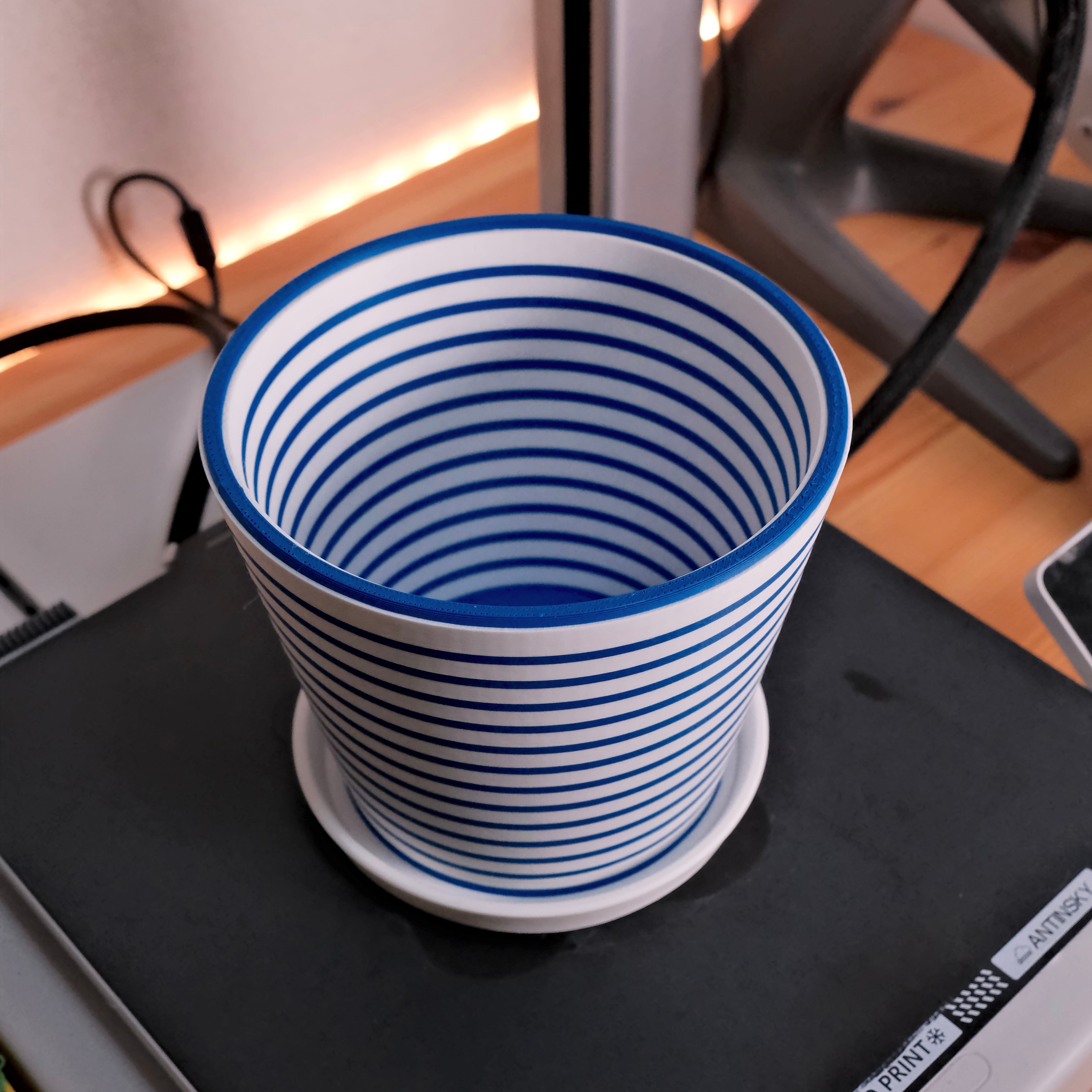 陶器製 水鉢 白と青のストライプ 限定品】ストライプ植木鉢(ブルー、ホワイト) | tanuki plants(タヌキ