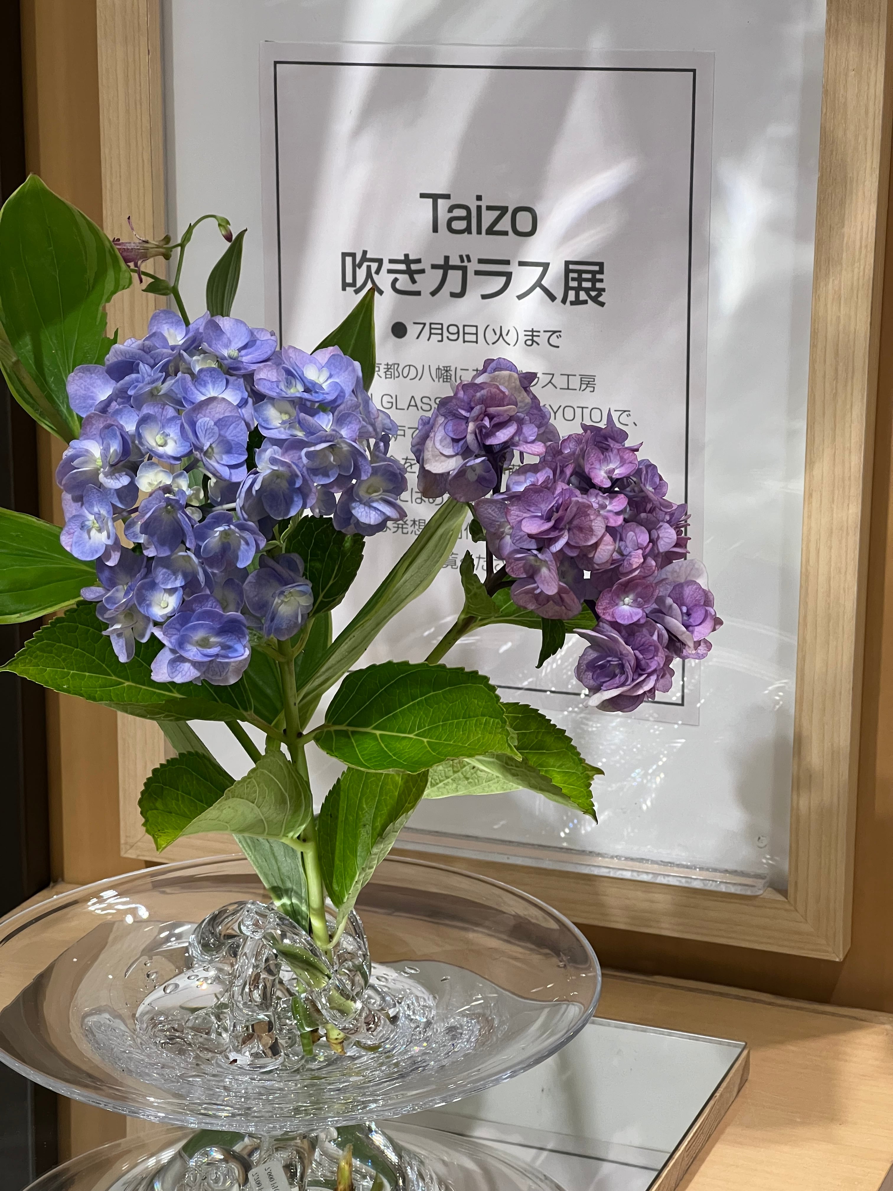 ガラスの剣山 中 | Pay ID