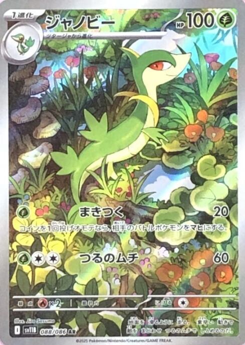 【Bランク】ジャノビー(AR)