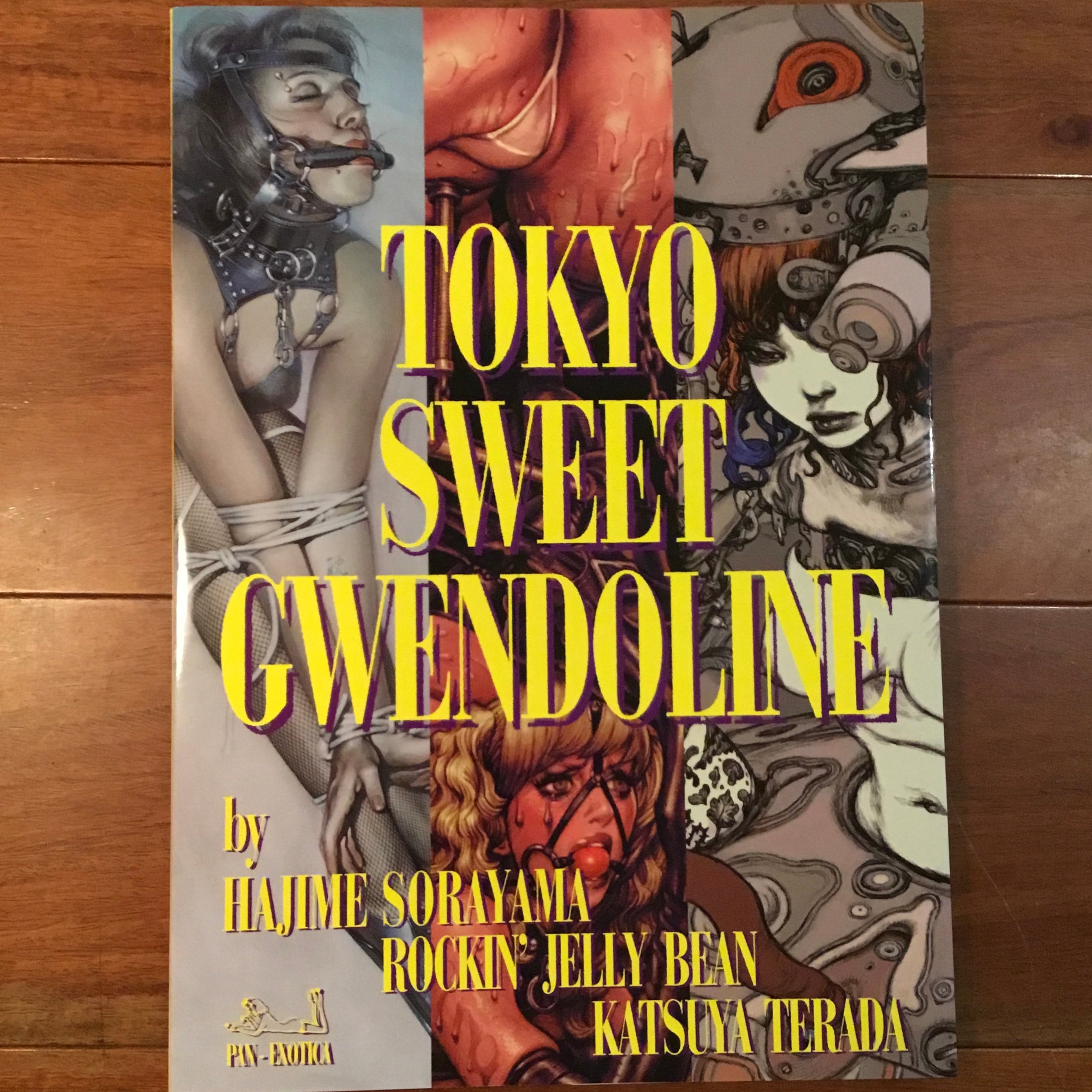 磯崎新+篠山紀信 建築行脚9 バロックの真珠 | Flying Books
