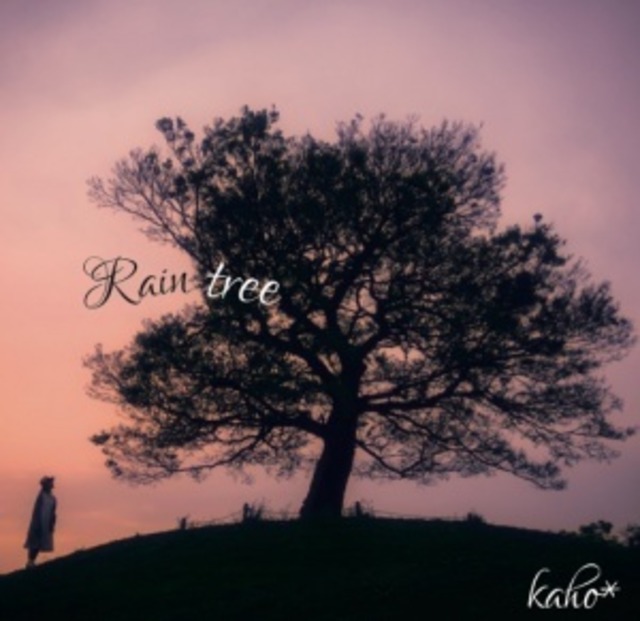【CD】アルバム『Rain tree』