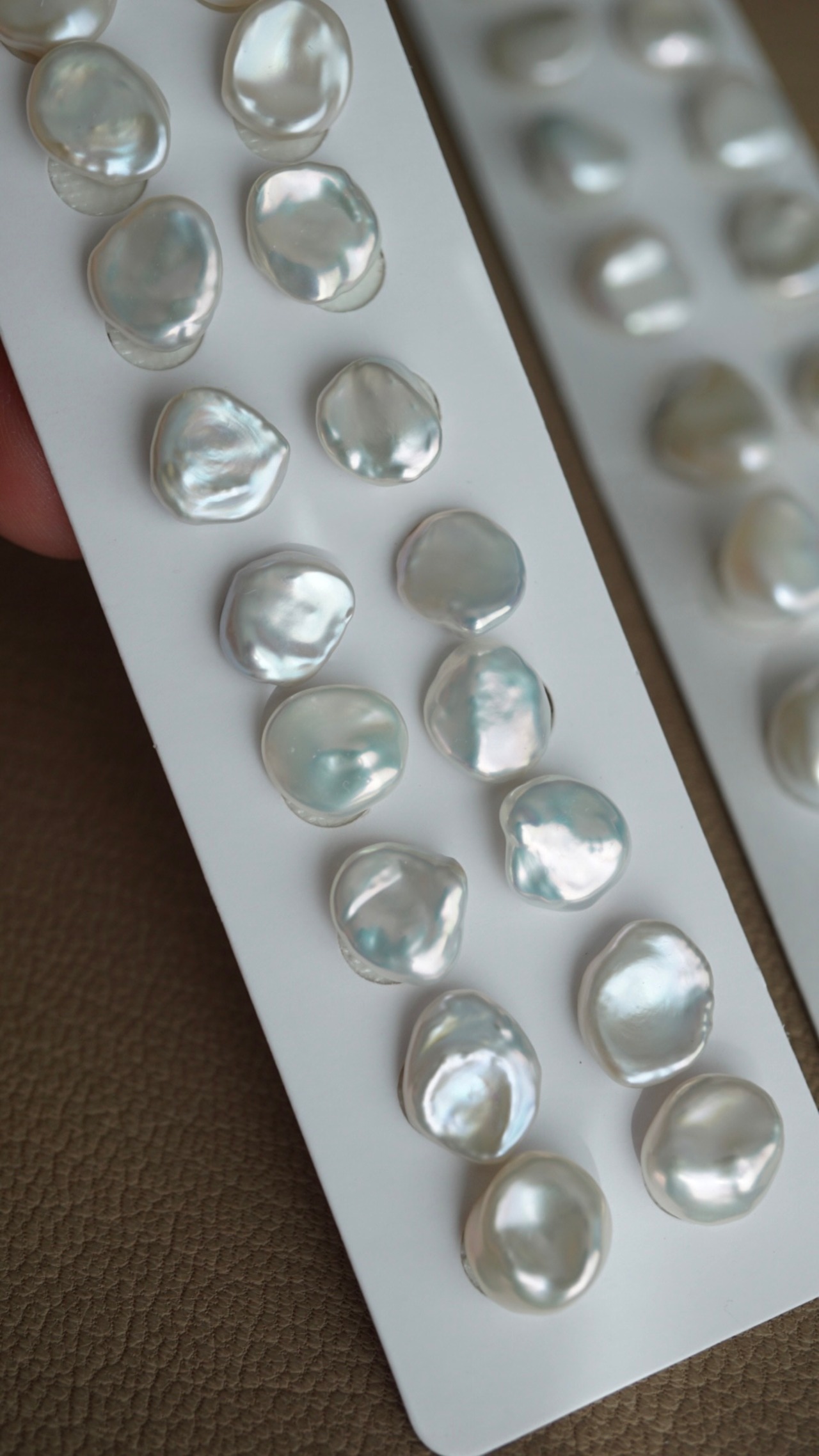 Charm -mini Keshi- (M)