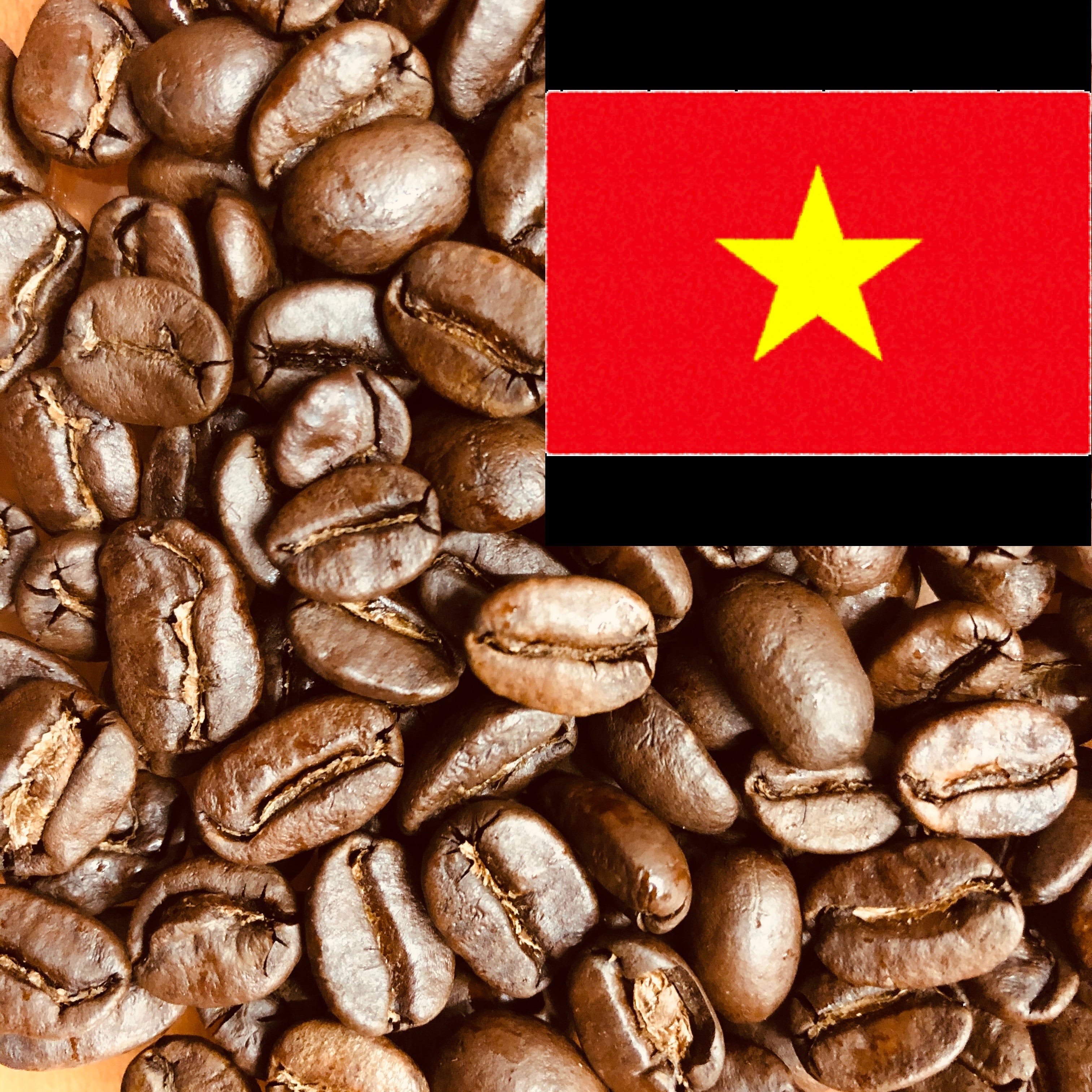 ベトナム アラビカ vietnam arabica 200g | BLACK CAT MAPLE