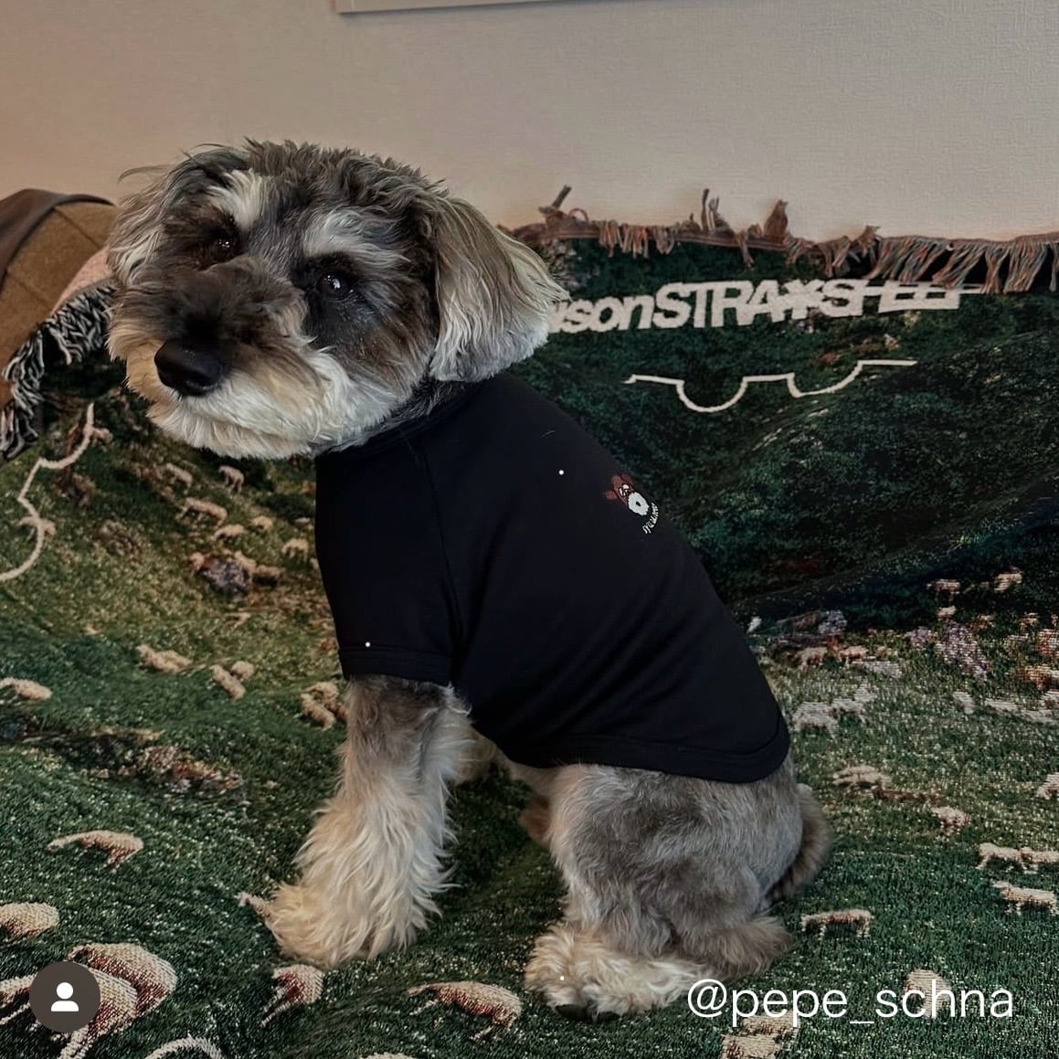 neko dog Tshirts / black,white | schnauzer no neko