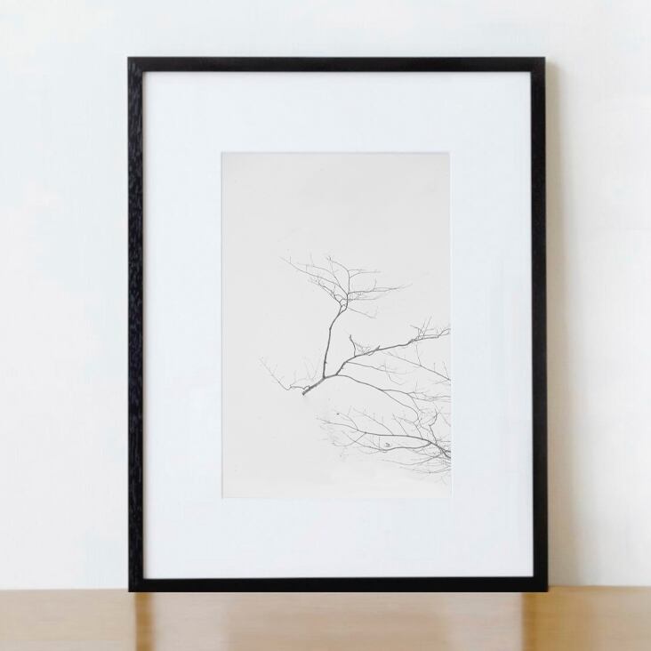 Tetsuya Morimoto Dry Tree #8(black wooden frame 61cm×91cm付き)