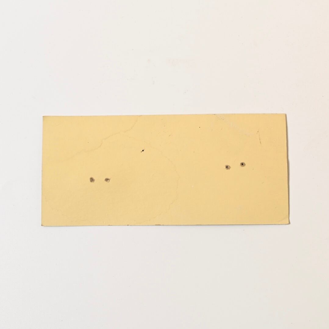 ビンテージ Levi Strauss & Co. GUARANTEE TICKET 135 #3 | Button