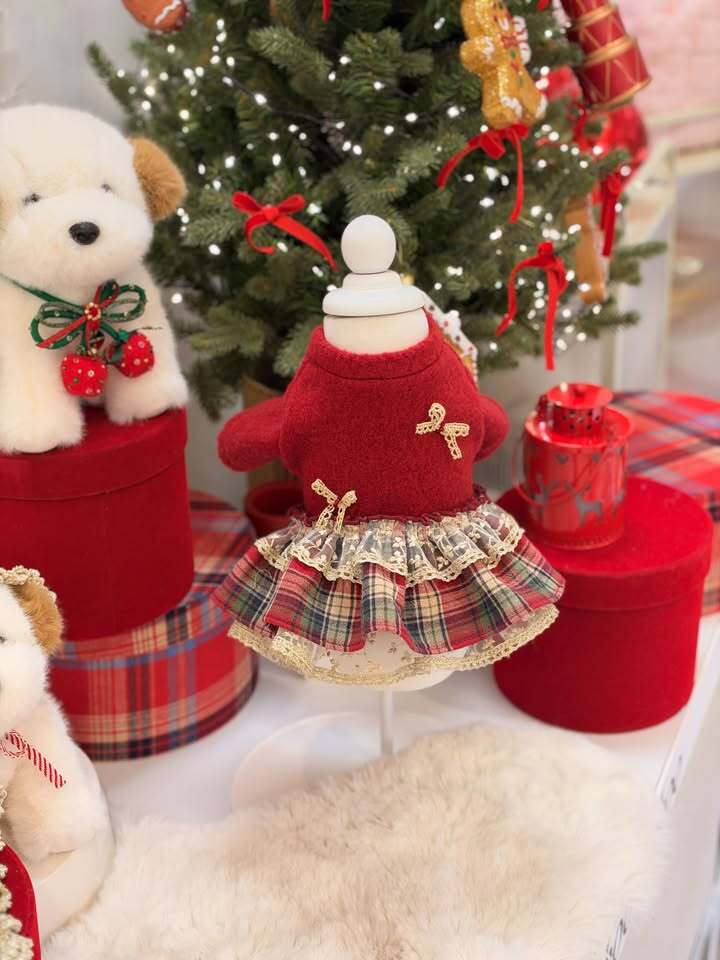 予約【lebooleboo】Little Holiday Dress