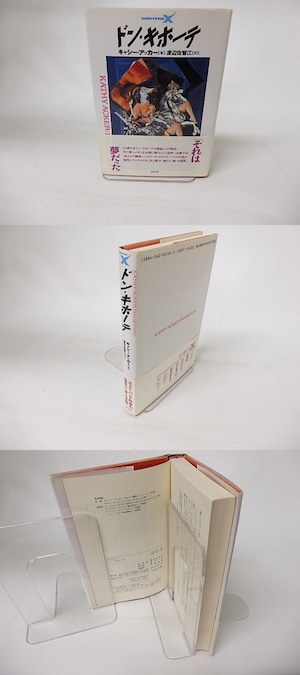 ドン・キホーテ　/　キャシー・アッカー　渡辺佐智江訳　[16414]