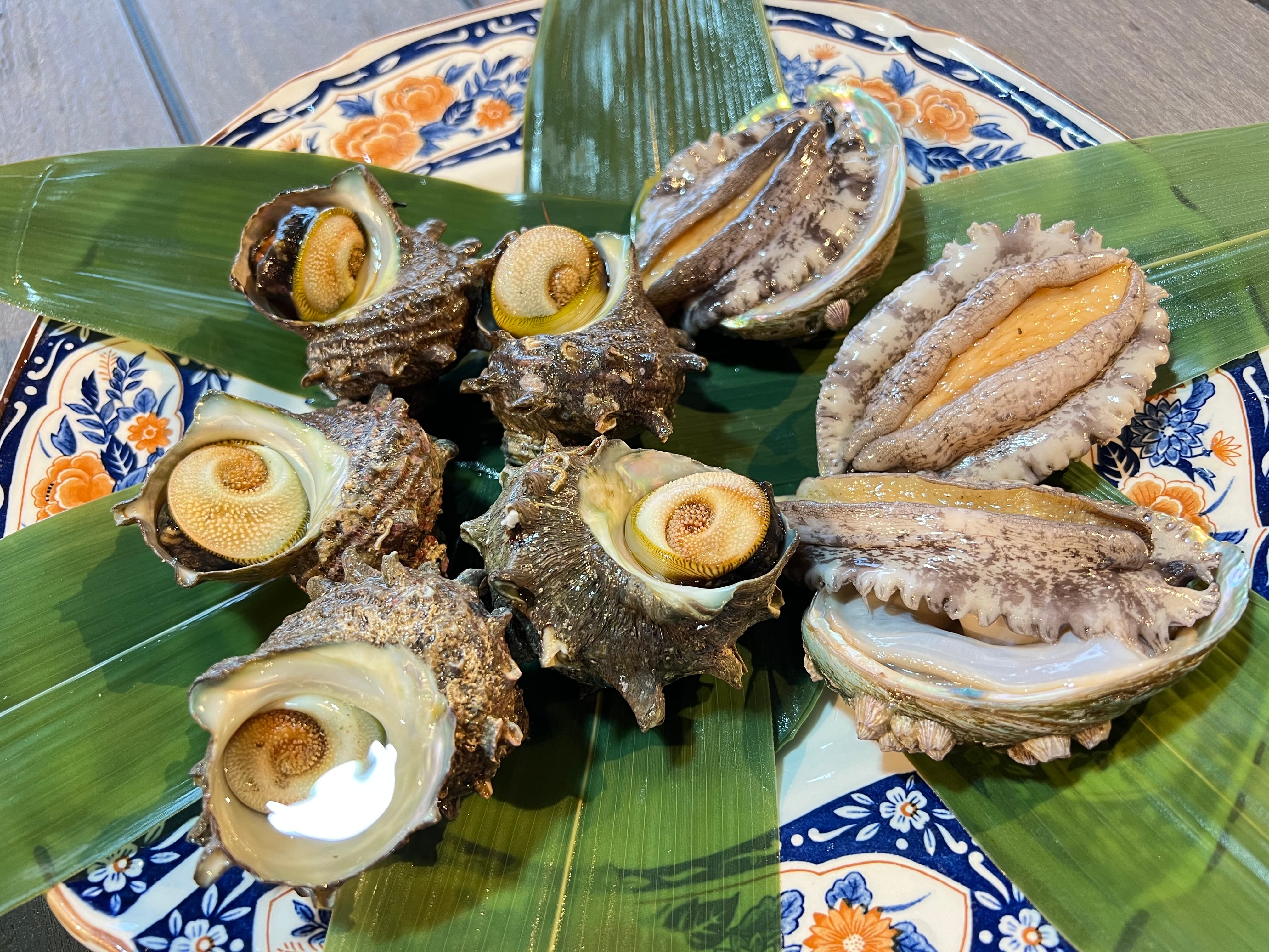 【A-２】さざえ・蝦夷あわび