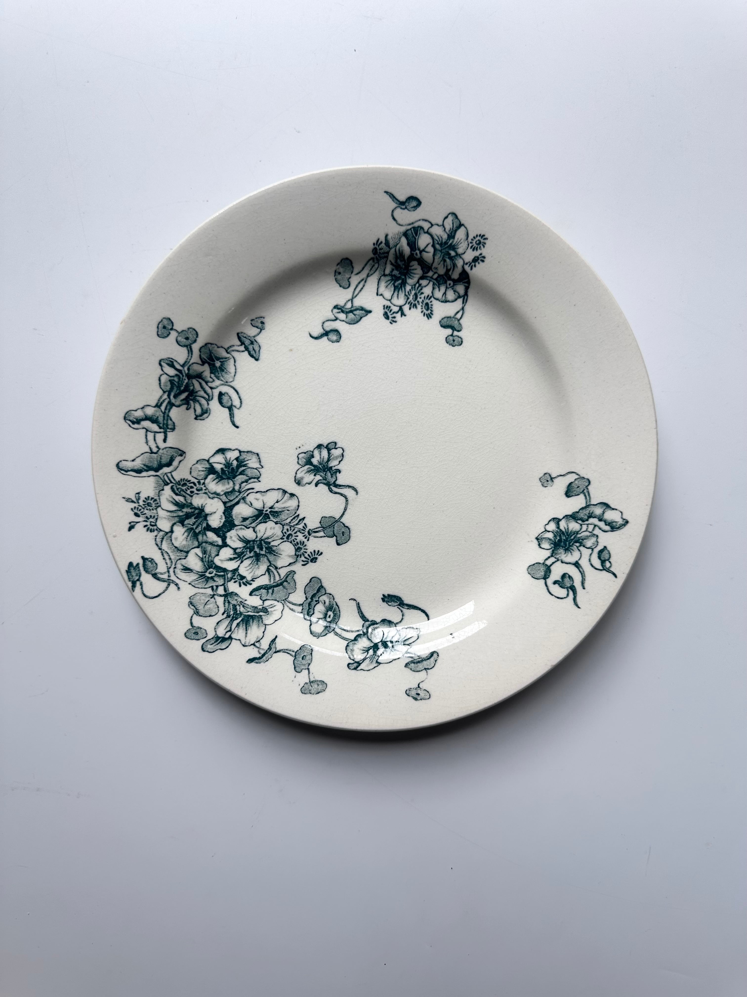 Badonviller PARADIS 平皿 バドンヴィレー 鳥 | French tableware