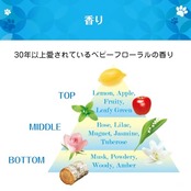 ファーファ 3倍濃縮超コンパクト粉末洗剤 500g