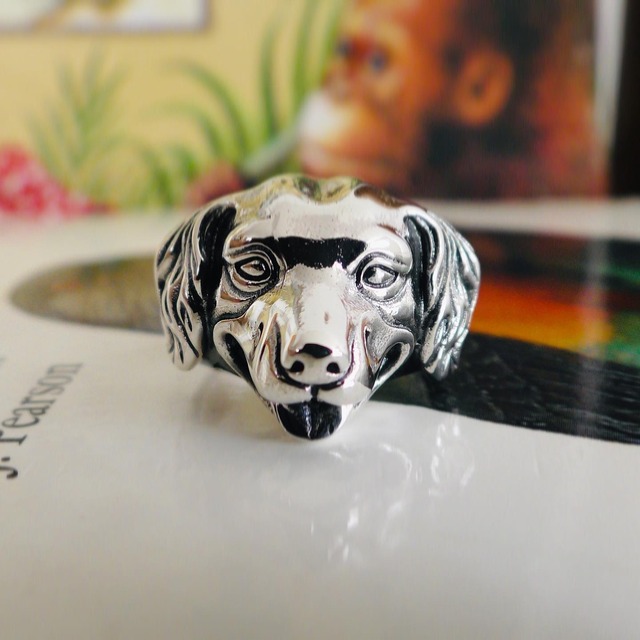 Retriever ring (SKA1160) silver925