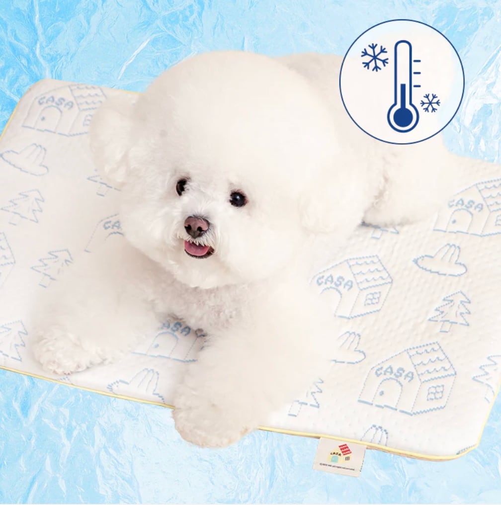 Msize/即納【BITEME】All Day Cooling Mat