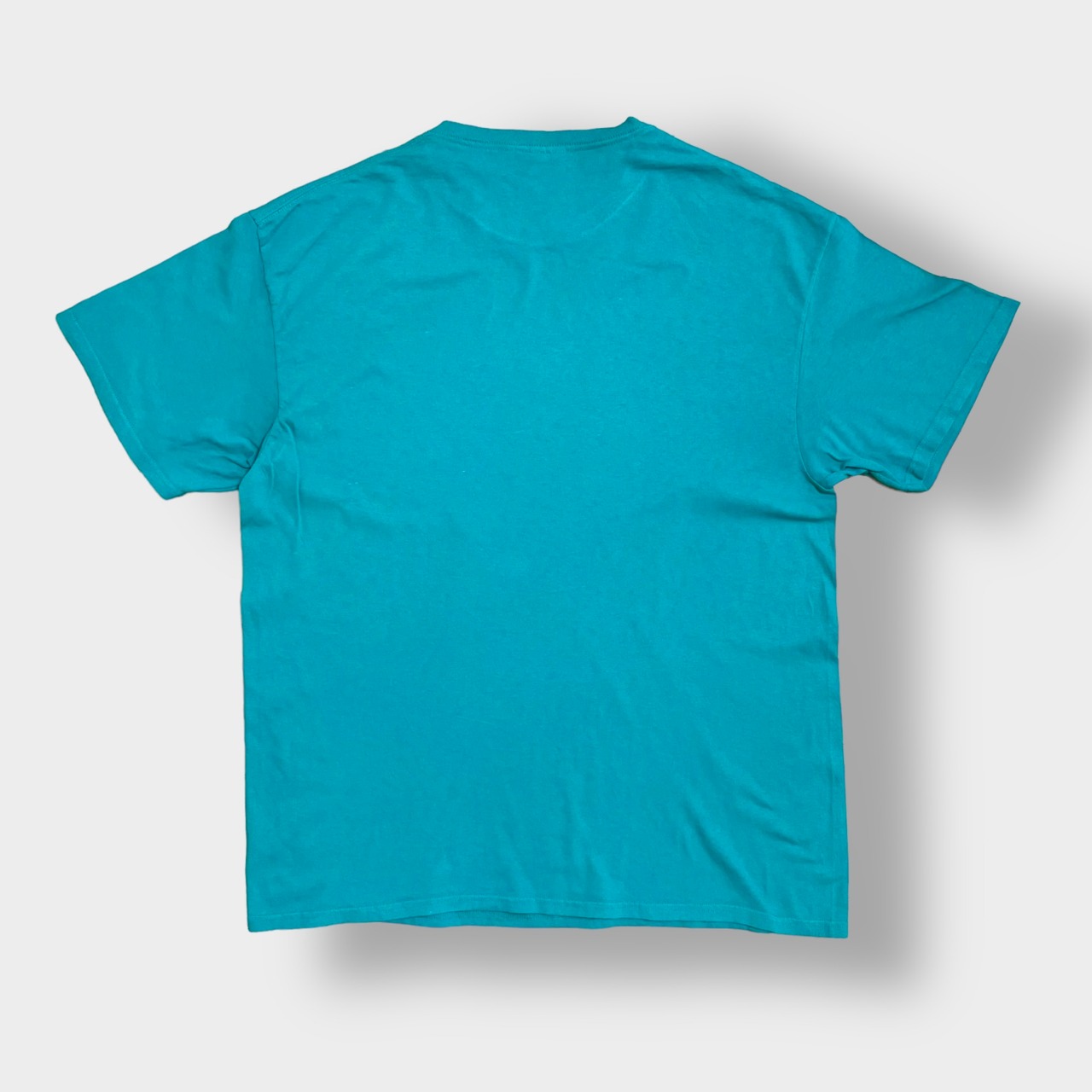 【DELTA】Splash Canyon プリント ロゴ Tシャツ XL ビッグサイズ 半袖 スプラッシュキャニオン エメラルドグリーン US古着