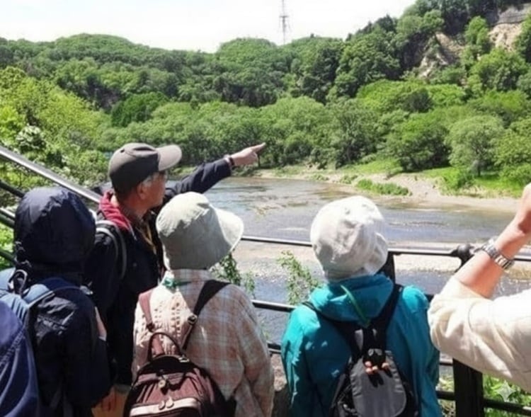 ニルアド　翡翠セット ニルアド 翡翠セット ニルアド 翡翠セット