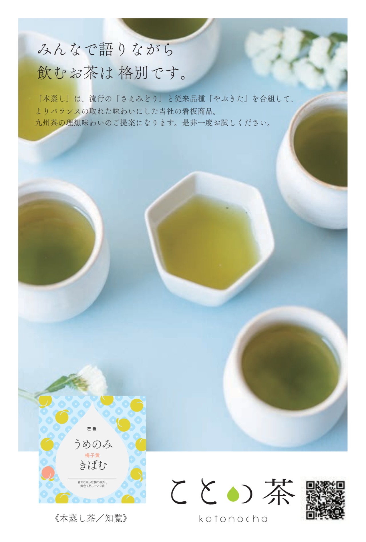 ことの茶　本蒸し茶／知覧