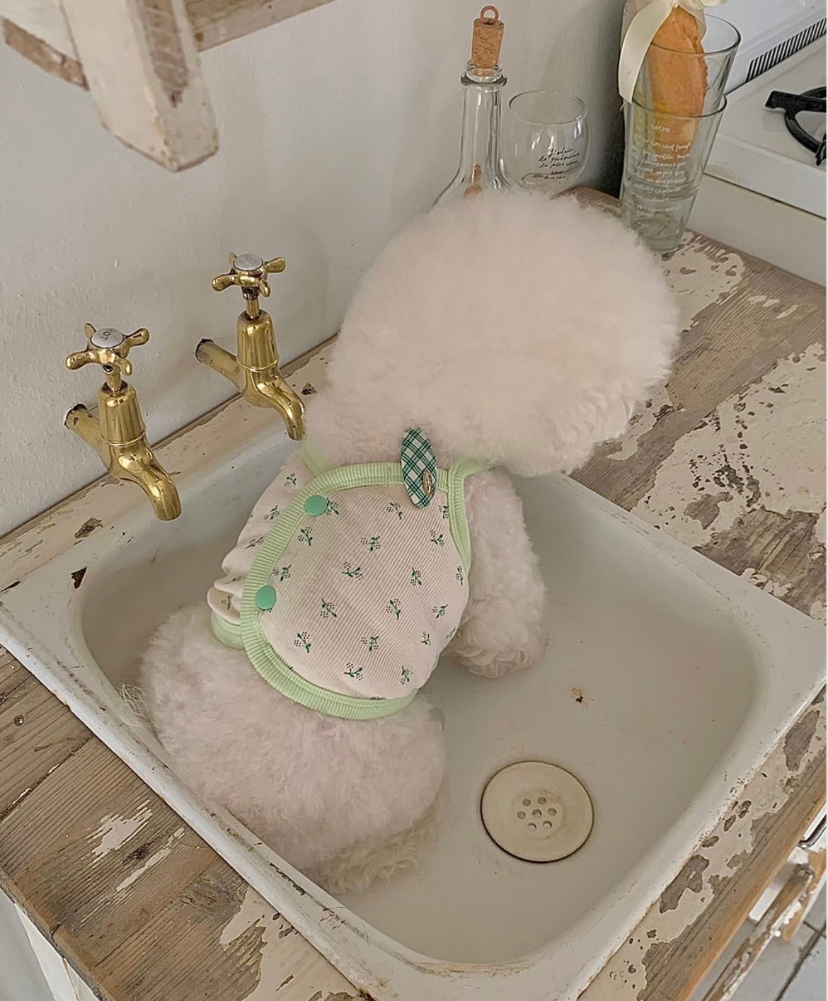 【seenii】pipo! crop top (Green)