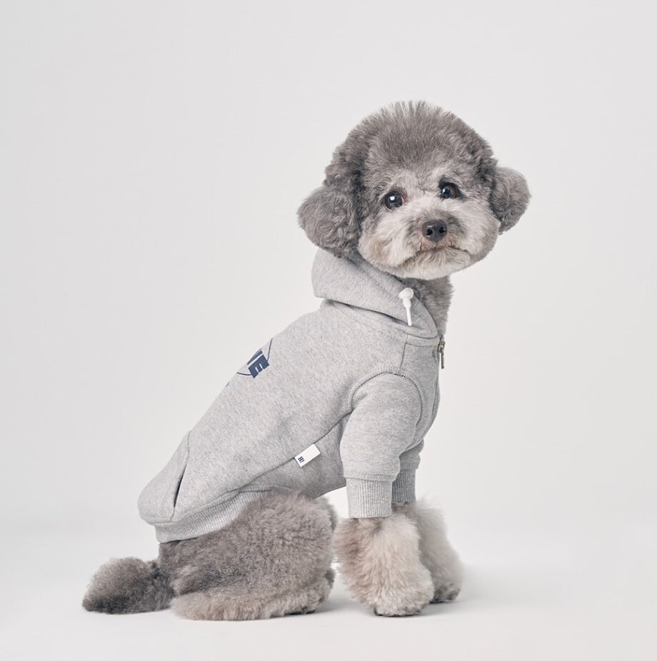 予約【HIFIVE】Skater Graphic Zipup Hoodie《Navy》