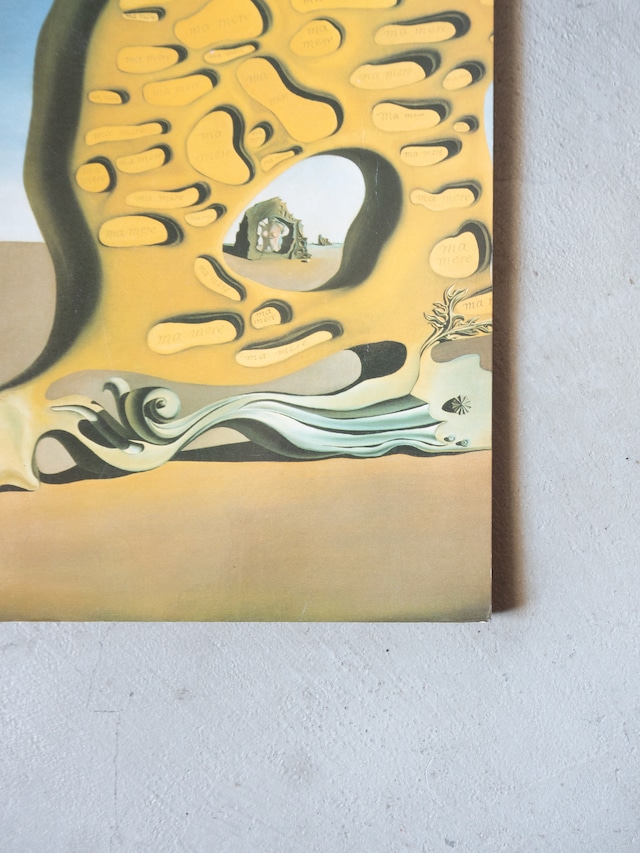 "Salvador Dalí" vintage Art book