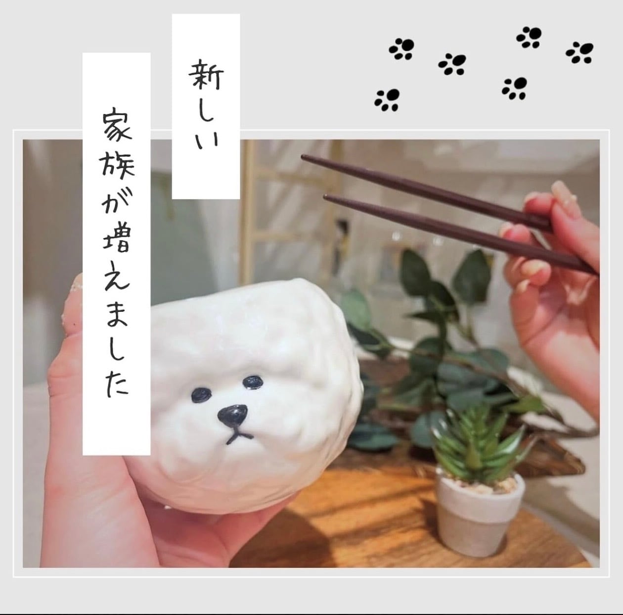 Wankole お茶碗 ビションフリーゼ | about time