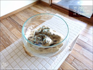 フラワーベースDome 花瓶 メダカ鉢 めだか鉢 プリミティブガラスベース 吹きガラス 手作り 一点物 自然な様