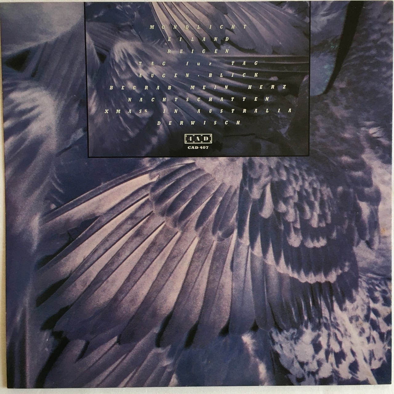 LP】X Mal Deutschland ‎– Tocsin | マメシバレコード mameshiba records