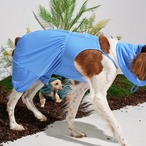 【PUPPYGALLERY公式】ジェリーベアブルマー【Blue】