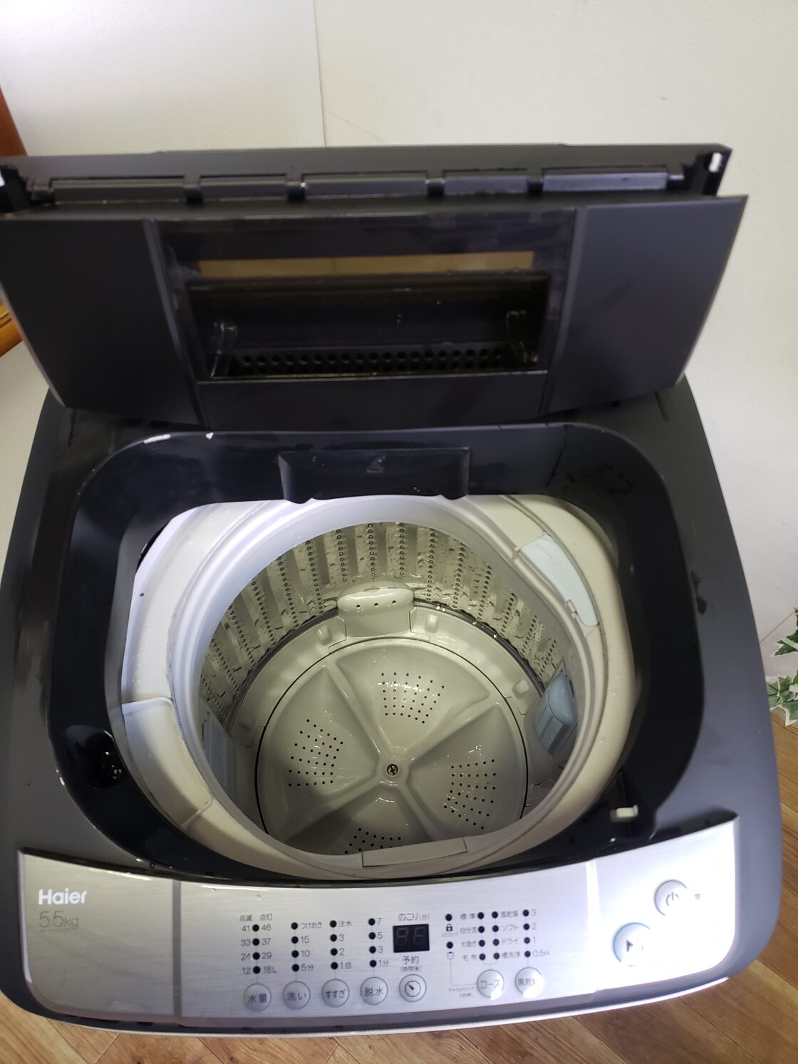 2019年製 5.5kg Haier JW-XP2KD55E | Pay ID 