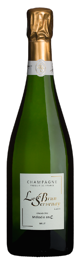 ★気軽に開けたい春のシャンパーニュセット★【送料無料】選べる２本セット