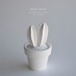 white cactus (mini) ペルヴィアナ
