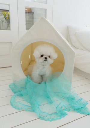 予約【malrang】See Through Popcorn Blanket (Mint)