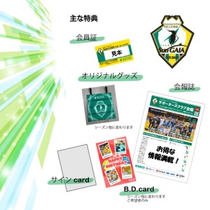 サポクラ／ブロンズ