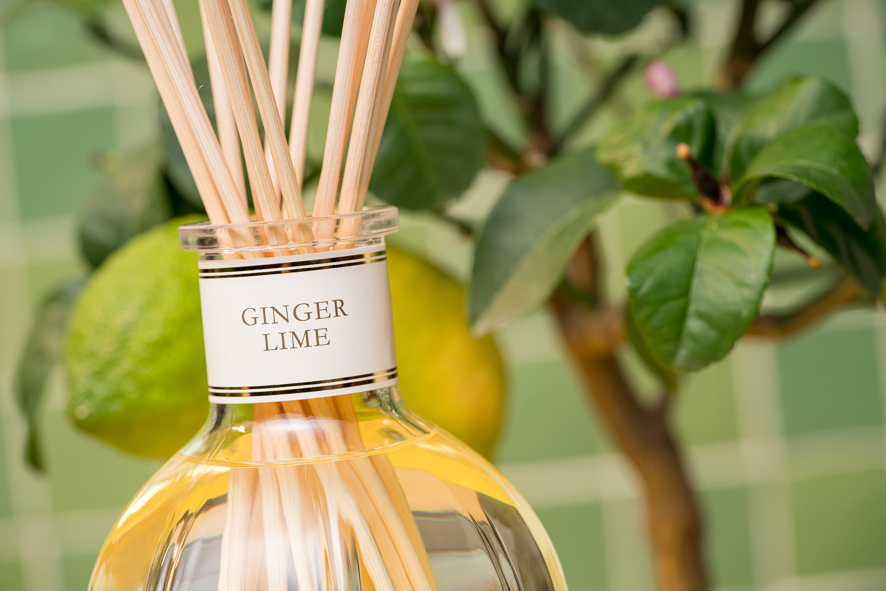 ドットール・ヴラニエス(DR. VRANJES) GINGER LIME 〈ジンジャー ドットール・ヴラニエス(DR. VRANJES) GINGER LIME 〈ジンジャー