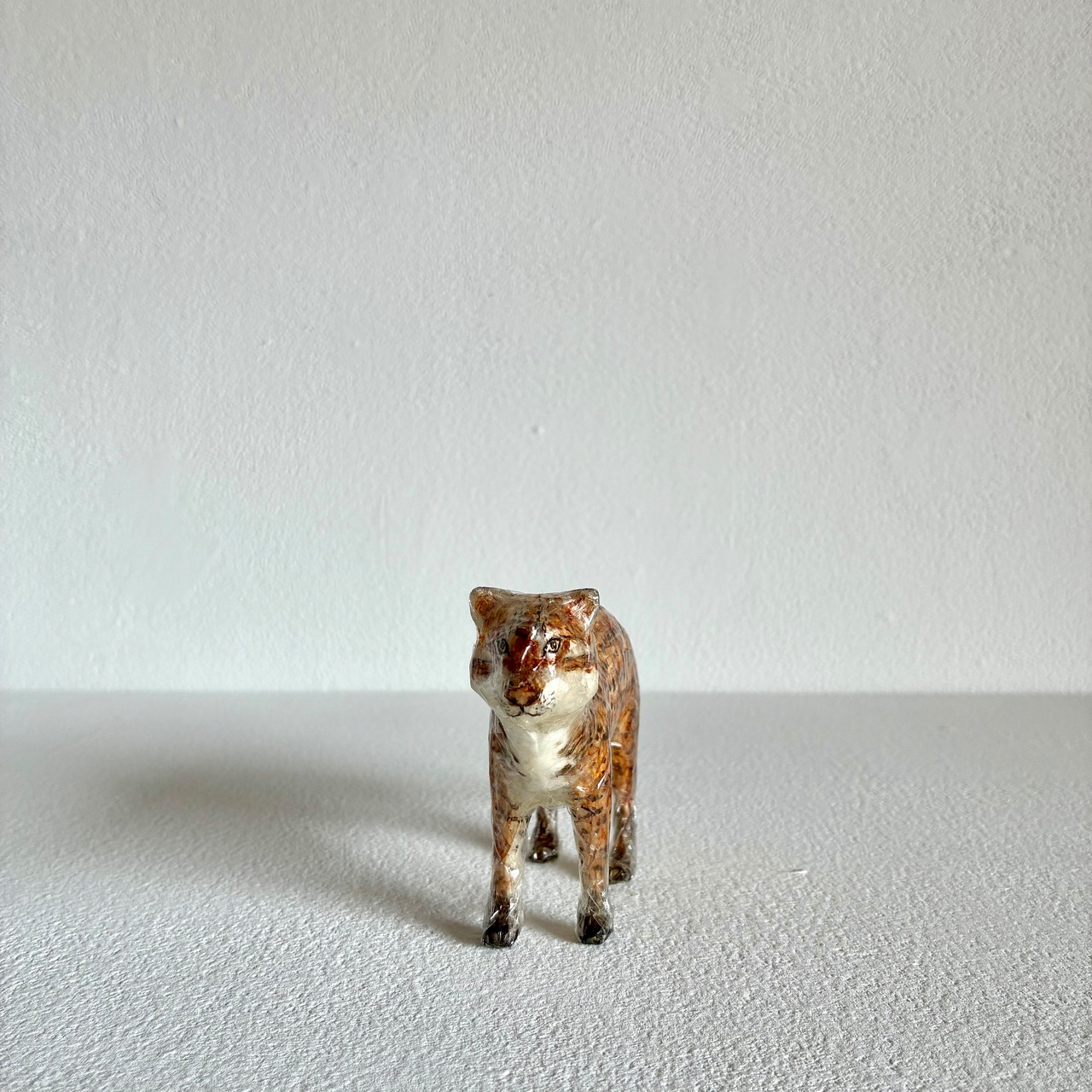 植田 楽さん／#01　ツシマヤマネコ