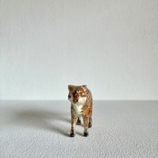 植田 楽さん／#01　ツシマヤマネコ