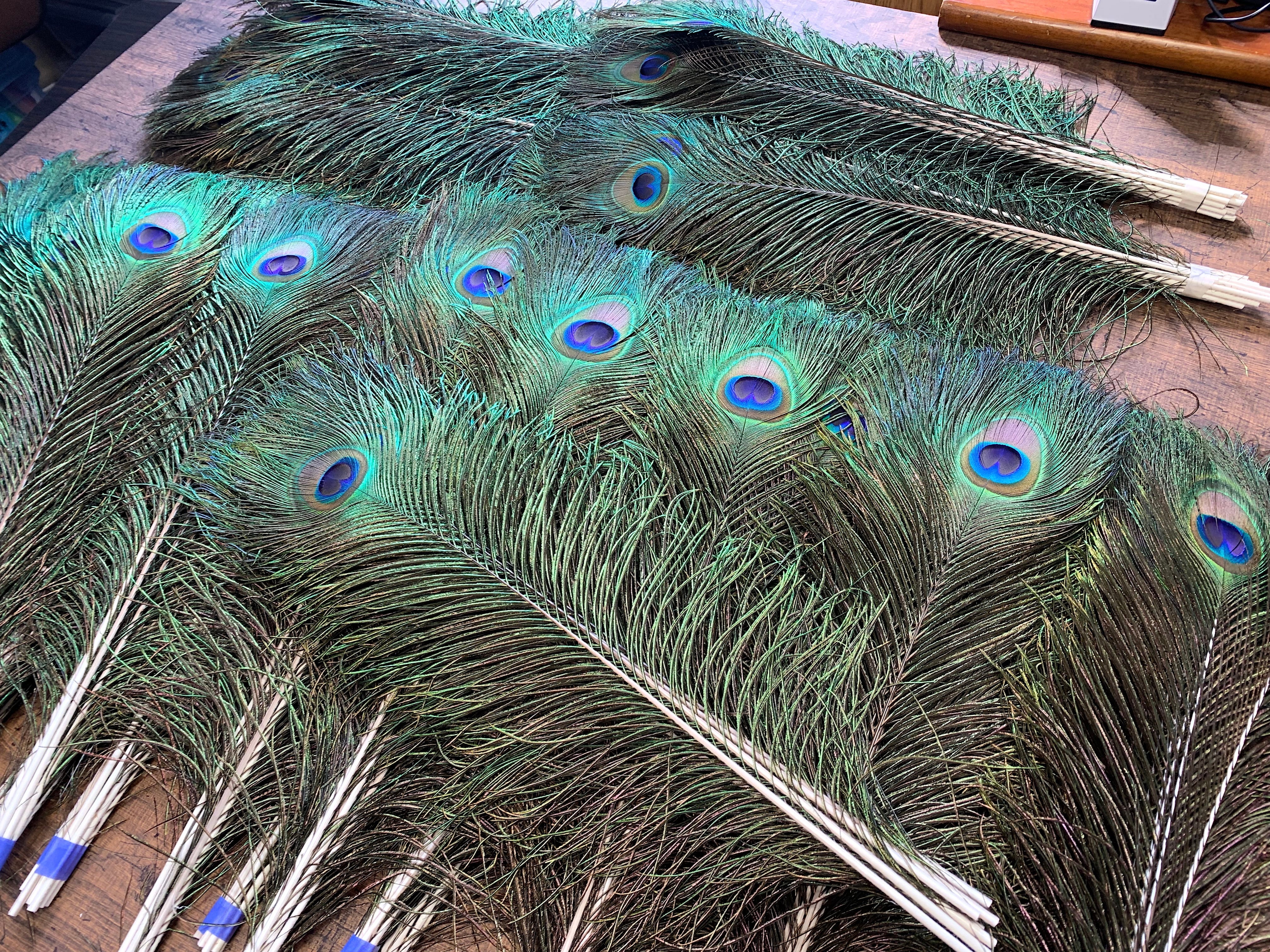 ヘレンド・フィギュリン 孔雀ピーコック cuckoo-1.jpg