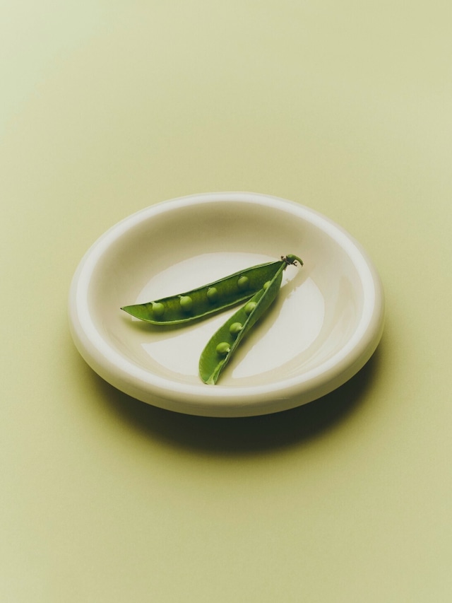 HAY BARRO BOWL 2個セット