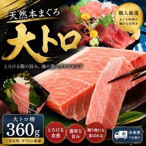 天然本まぐろ 大トロ 360g