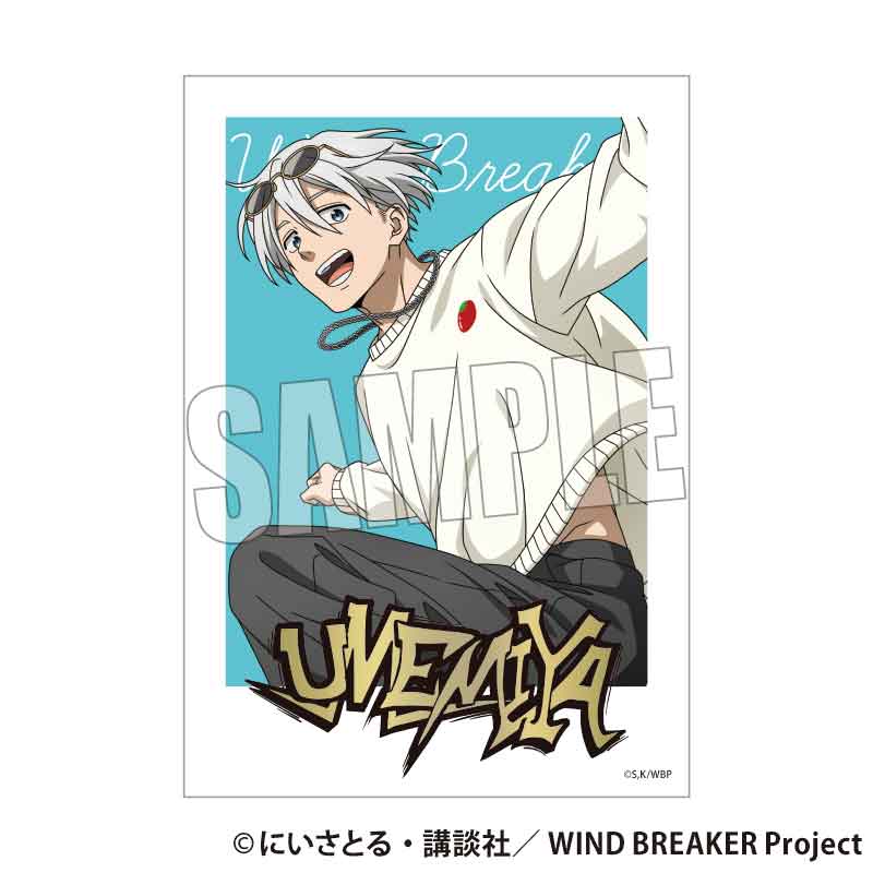 WIND BREAKER トレーディング箔押しブロマイド スケーターver