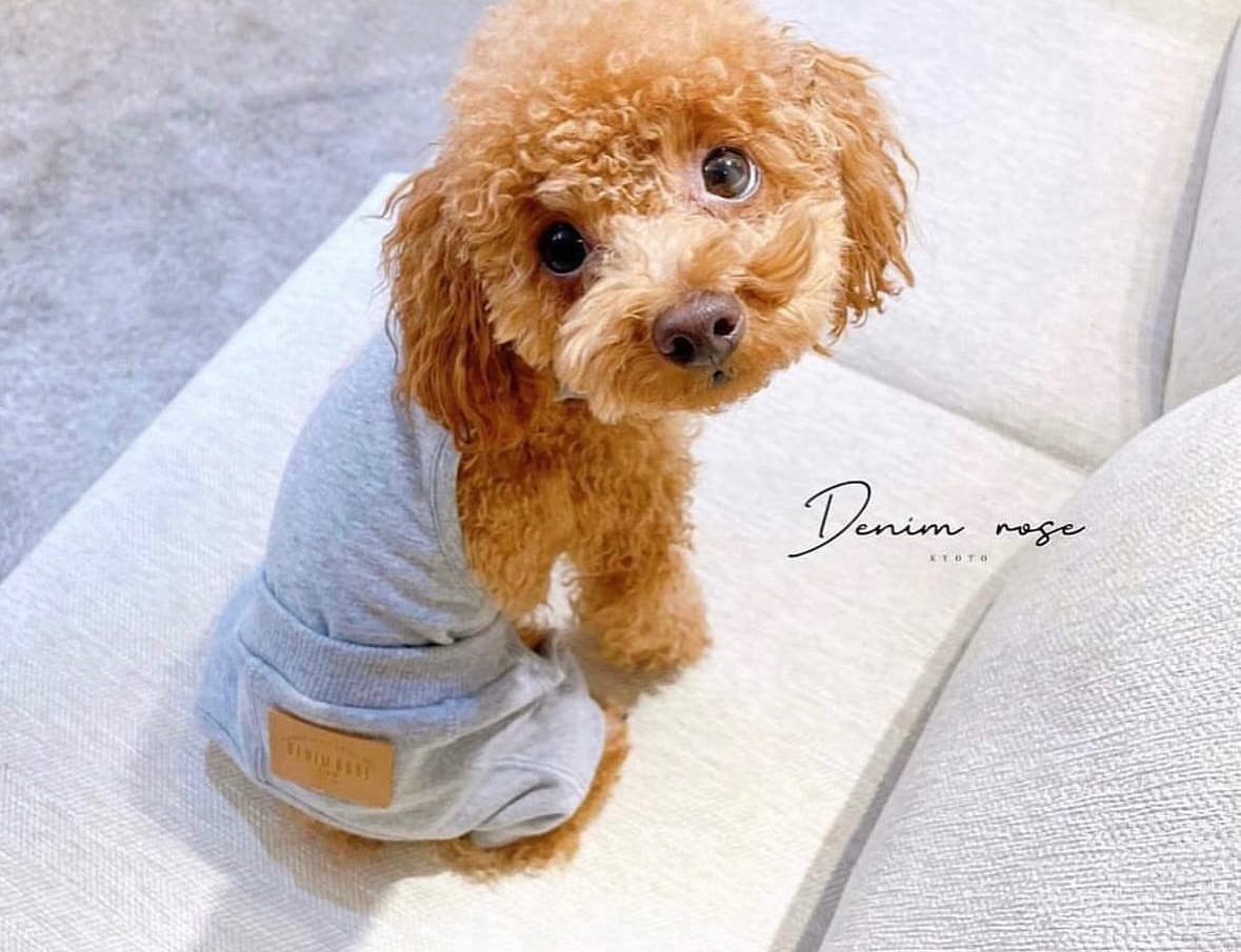 スウェットパンツ | DENIM ROSE