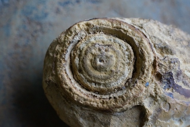 ゴビアゲート Gobi Desert Eye Agate 652