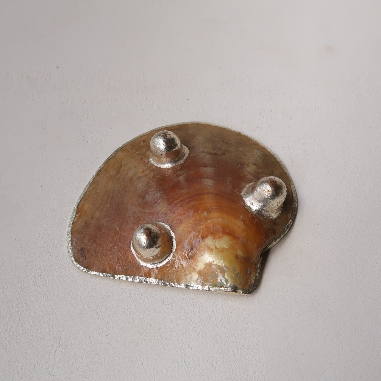 ぐるぐるシェルのトレイ