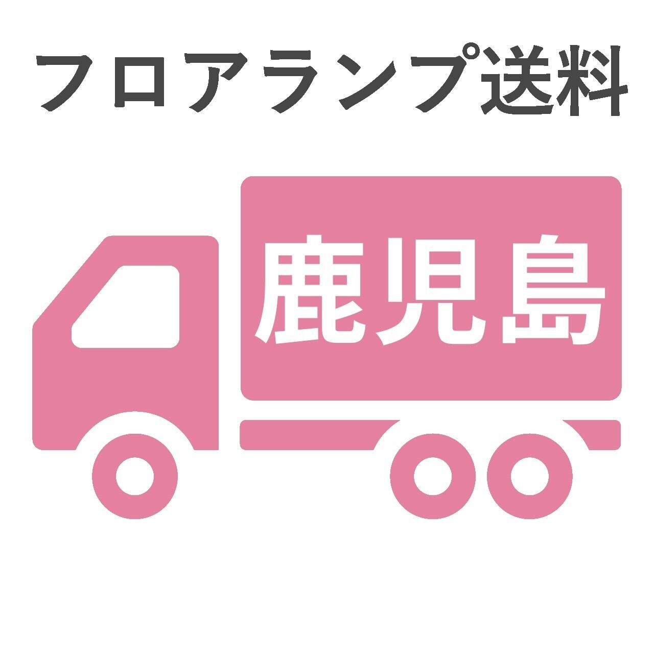 BL-F481,484,806送料 鹿児島