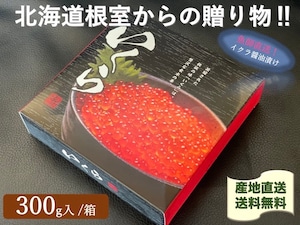 北海道根室産【漁師直送】本物の秋鮭イクラ醬油漬け300ｇ/箱「化粧箱入れ」【送料無料】