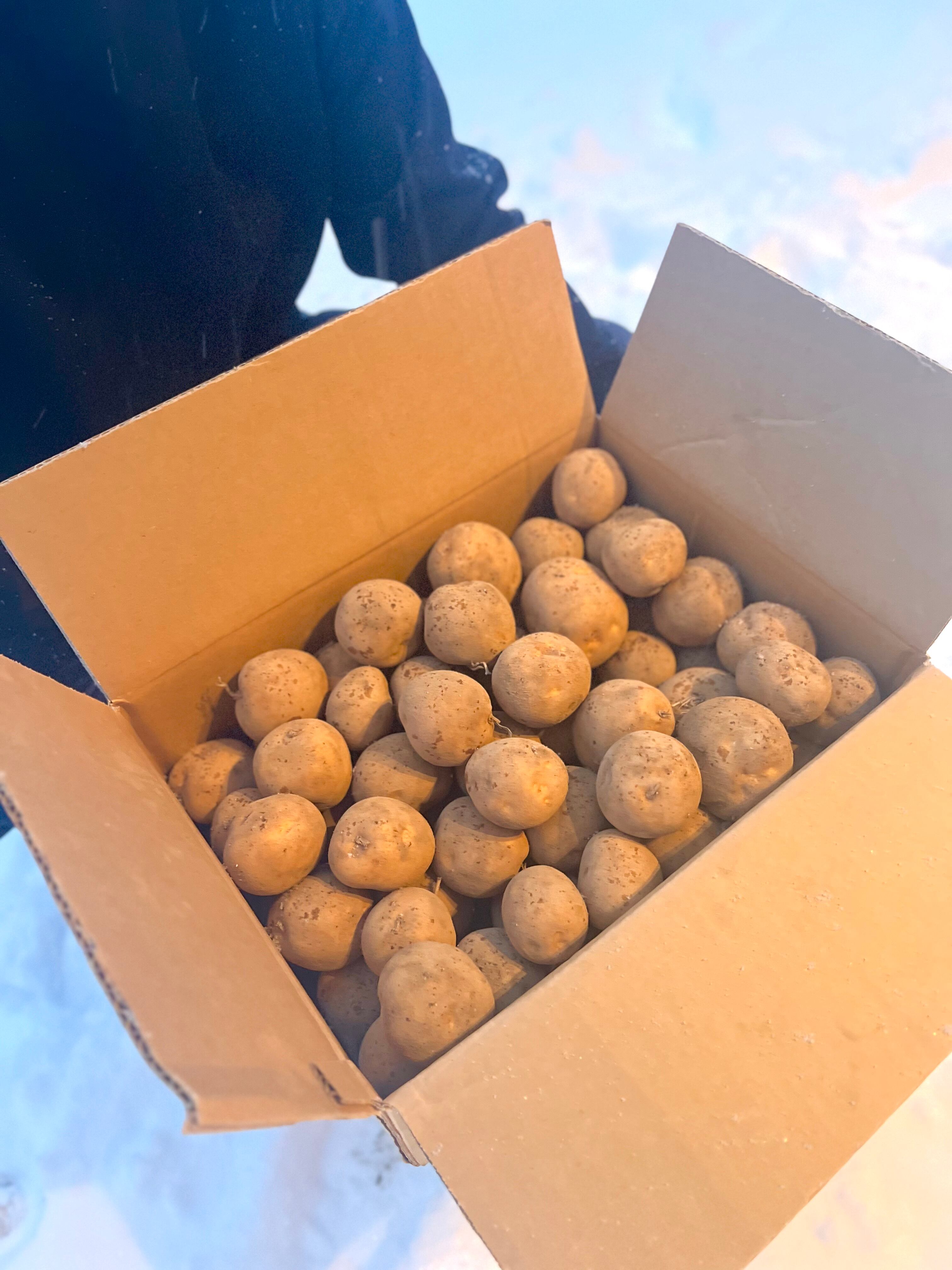 とうや8キロ×2箱