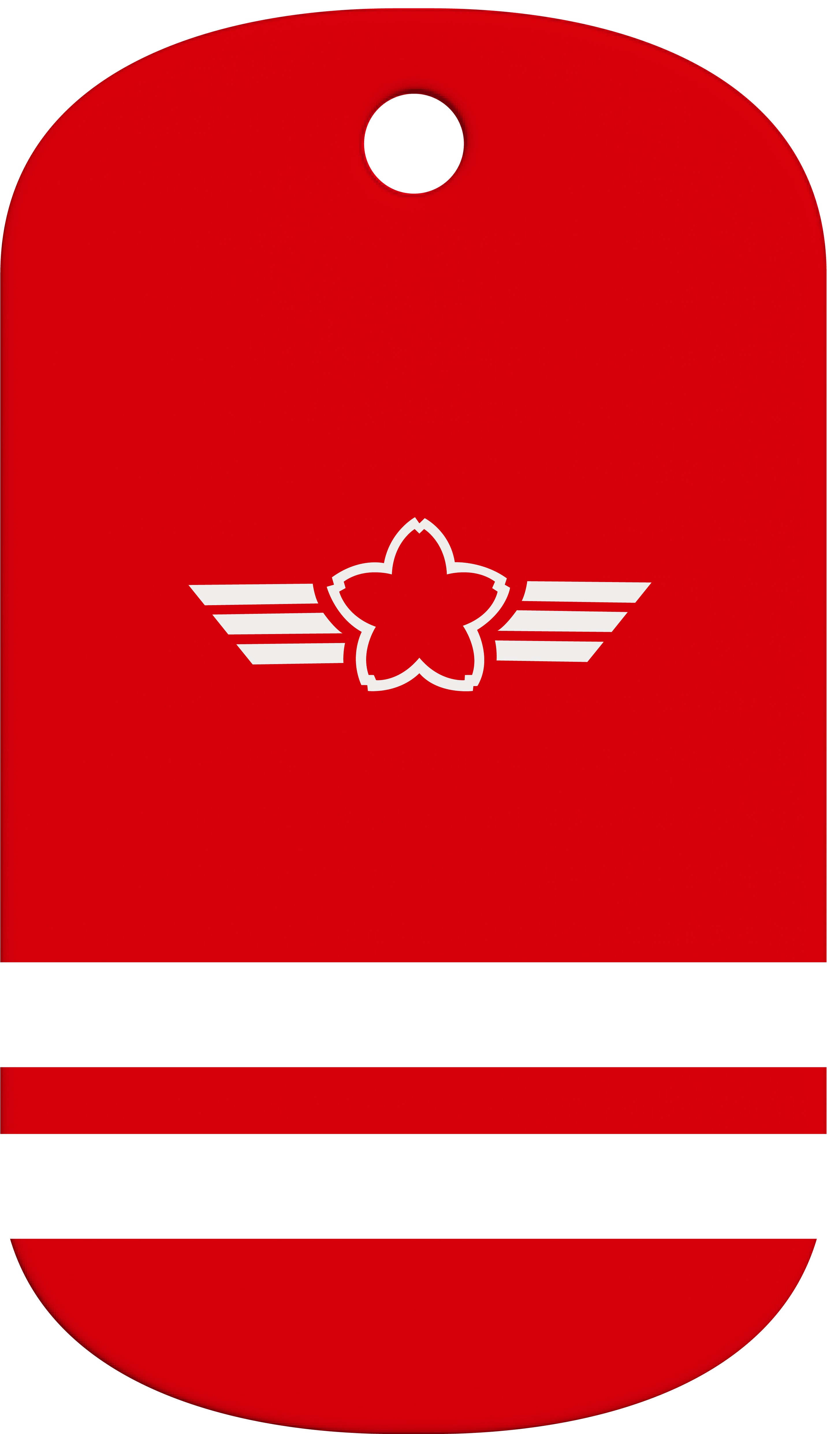 航空自衛隊 T-7 初等練習機 ドッグタグ 4CTAG HD 赤 Mk2 | MAJIC243