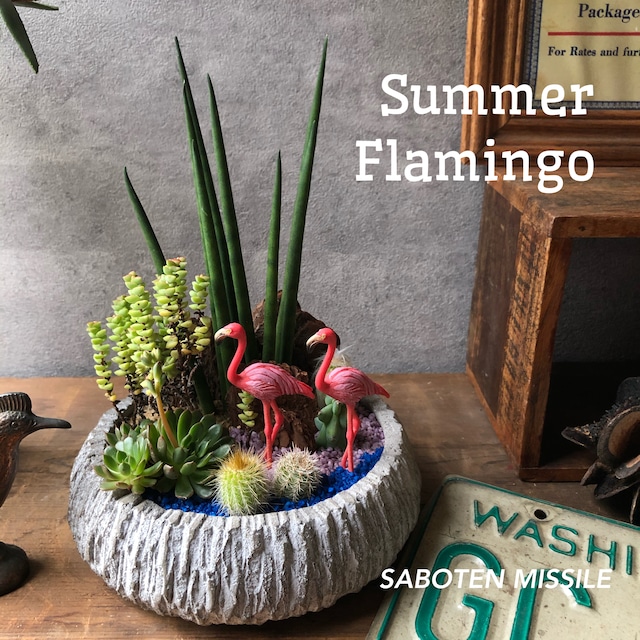 Summer  Flamingo