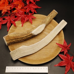 送料無料】エゾ鹿 角ガム 太め25cm 超大型犬用 半割 2本 送料無料】エゾ鹿 角ガム 太め25cm 超大型犬用 半割 2本